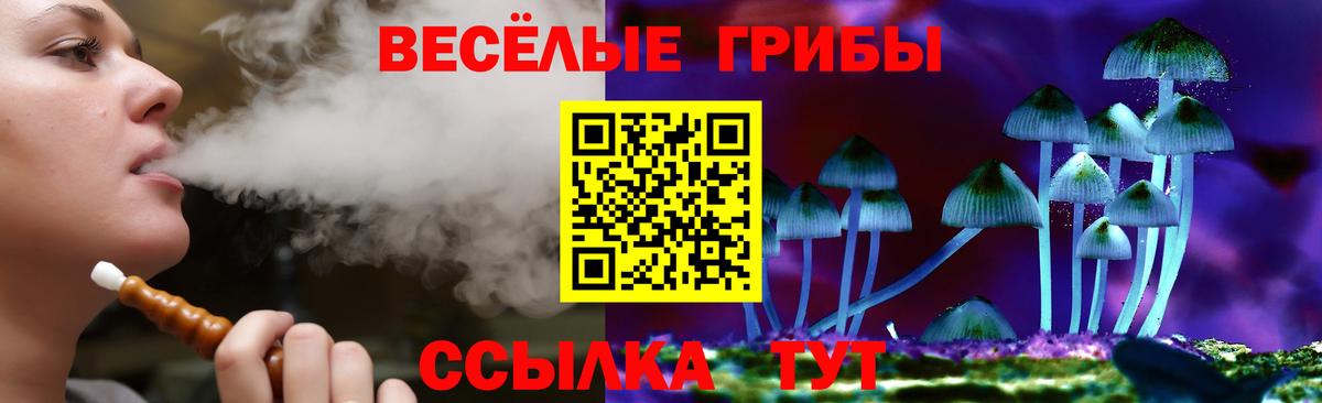 Псилоцибиновые грибы Psilocybe  Галлюциногенные грибы ЛСД  Ростов-на-Дону  Вход с VPN 